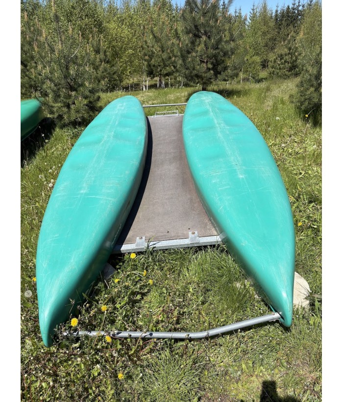 Used unique 8-seat catamaran