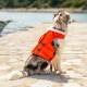 NRS CFD Dog Life Jacket