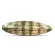 Solo fishing SOT kayak AMBER BAIT COMFORT