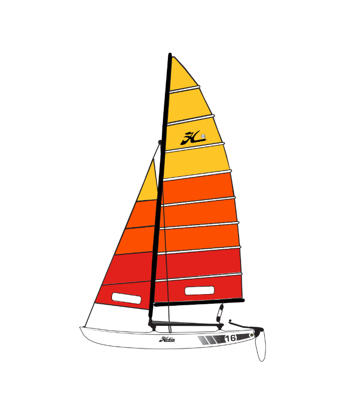 Sailing catamaran HOBIE CAT 16 CLUB