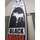 Pripučiamos irklentės komplektas BLACK MOOSE 10.6 (Naudota)